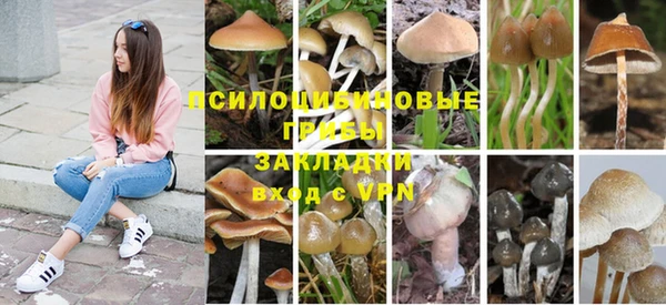 герыч Алексеевка