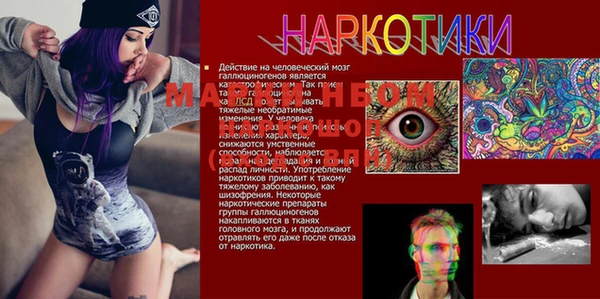 спайс Алзамай